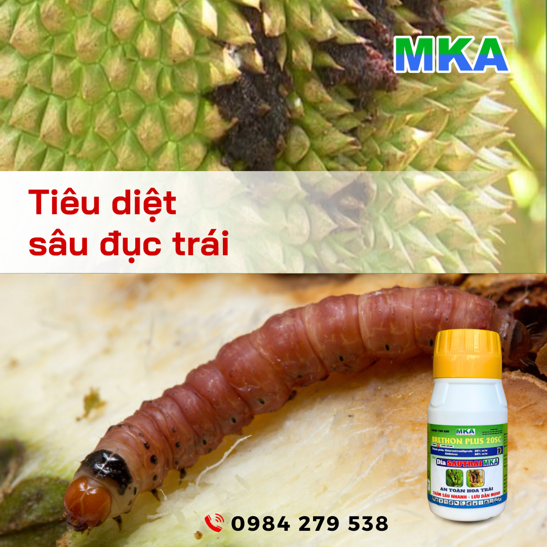 Diasautrai MKA thuốc đặc trị sâu đục trái
